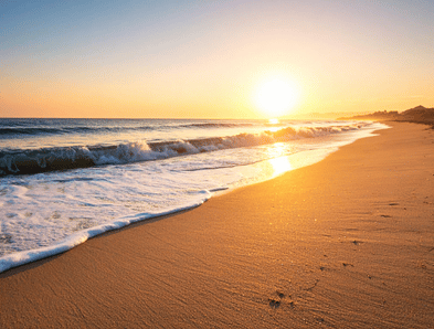Coastal Collection 2.png